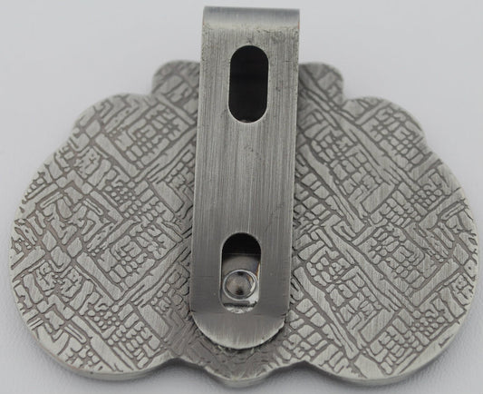 Miraculous Medal Visor Clip for your car! 6/pk