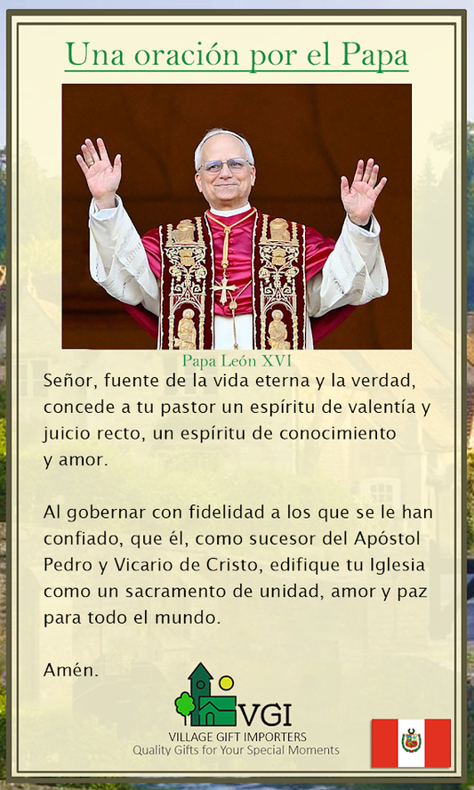 Prayer for Pope Leo the 14th Holy Card