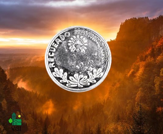 Las Arras Matrimoniales: A Set of 13 Silver-Tone Wedding Coins for a Prosperous Union