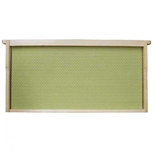 10-Pack Assembled Grooved Top Bar Frames with Beeswax Coated plasticell foundation, - 6-5/8 inch