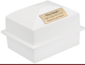 Secure Guard UV-2 Ash Vault
