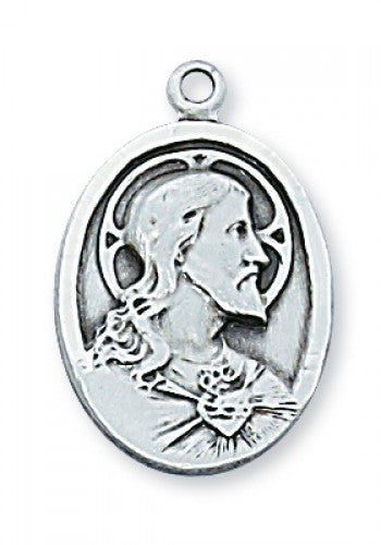 SS SCAPULAR 20 CH&BX"